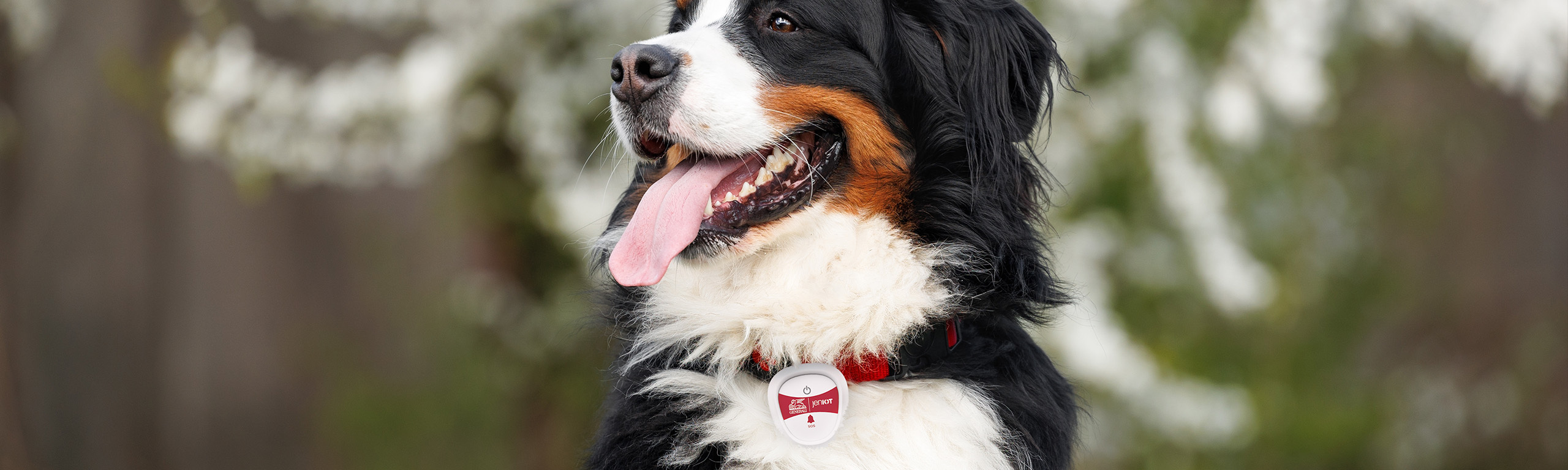 Localizzazione GPS del tuo animale